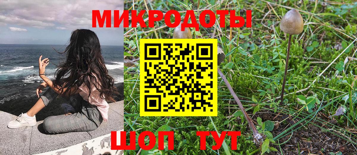 Абакан  Псилоцибиновые грибы Cubensis  закладка  Вход с VPN 