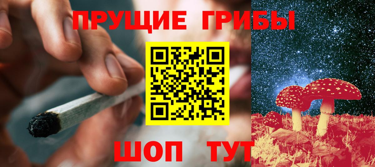 Псилоцибиновые грибы прущие грибы Абакан